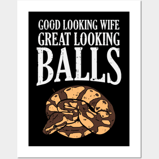 Great Looking Ball Pythons Posters and Art